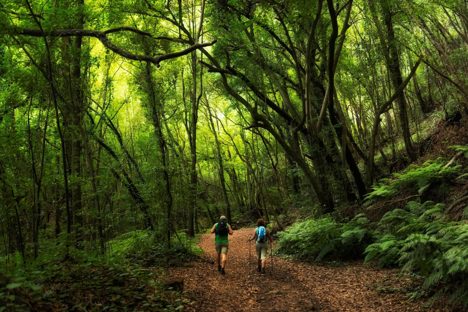 Rutas ITEVELESA: Nacientes de Marcos y Cordero, la Palma